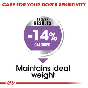 maintains ideal weight